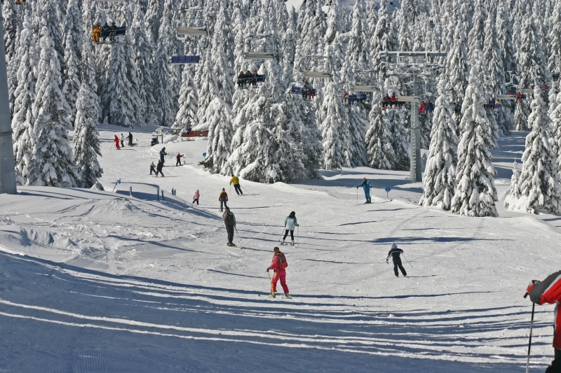 Kopaonik Apartments